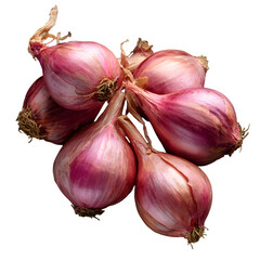 Fresh Shallots Isolated on Black Background for Culinary Professionals