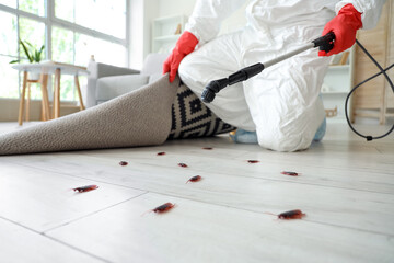 Male pest control specialist disinfecting under carpet for cockroaches in room, closeup