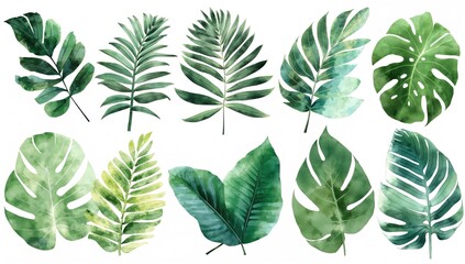 Fototapeta premium Collection of tropical foliage, vibrant watercolor illustration for botanical design