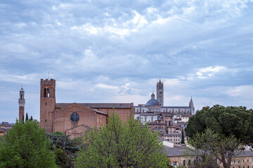 Fototapeta premium Basilica of San Francesco with historic architecture and lush greenery, showcasing the beauty of culture and religion in a serene travel destination with captivating ambiance