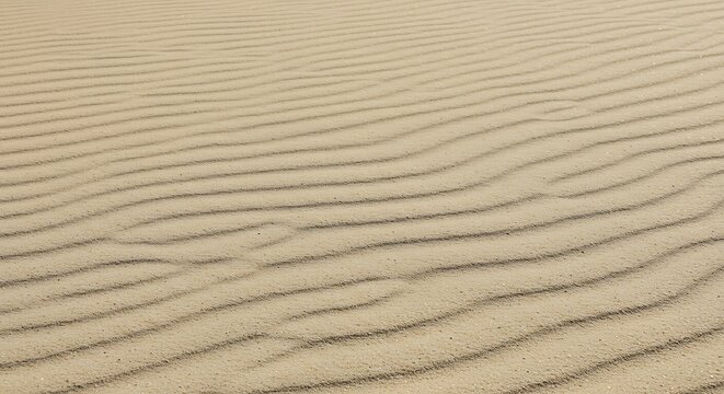Close-up of wind-blown sand dunes with rippled patterns, creating a natural texture