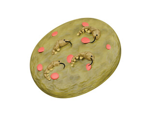 gul jeon icon 3d illustration render