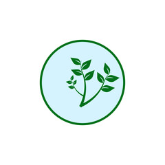 tree branch and leaf bud icon
