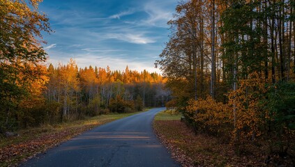 Obraz premium Autumn landscape along a forest road, showcasing seasonal change