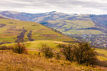 Naklejka premium countryside mountain landscape in autumn. carpathian alps of ukraine. beautiful place of transcarpathia. scenery with forest on rolling hills. beauty in nature and rural europe sustainability concept