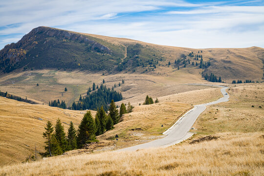 Scenic winding Transbucegi mountain road through golden mountains with evergreen trees in southern Carpathians, Romania