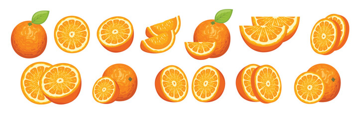 Set of orange vector illustration