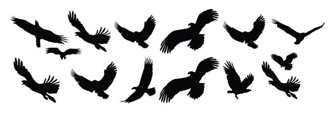  collection of eagle silhouette black vector