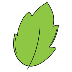 Hand-drawn cartoon green leaf on a white background.