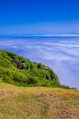 Fog Seascape from Mystical Fanal Forest, Vereda do Fanal, Laurissilva Forest Paul da Serra,  UNESCO World Heritage Site, Madeira, Portugal, Europe