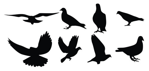 Fototapeta premium Siluetas Vector