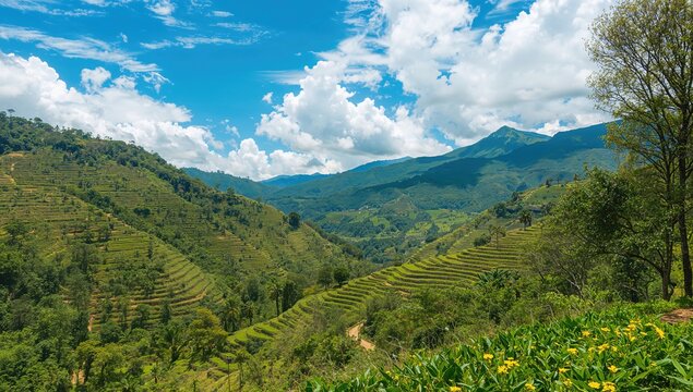 Benguet municipality in the Cordillera region, showcasing terraced vegetable farms, seasonal change
