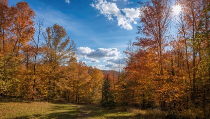 Fototapeta premium Autumn trees with fallen leaves, showcasing seasonal change