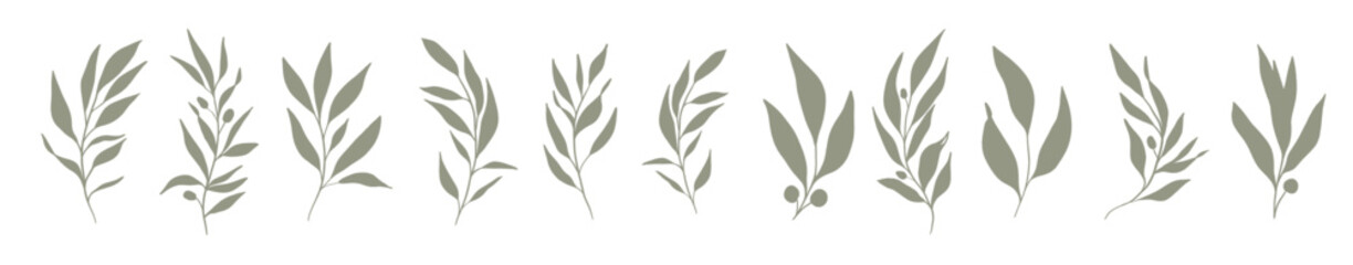 Fototapeta premium set of leaves hand drawn decorative green leaf element