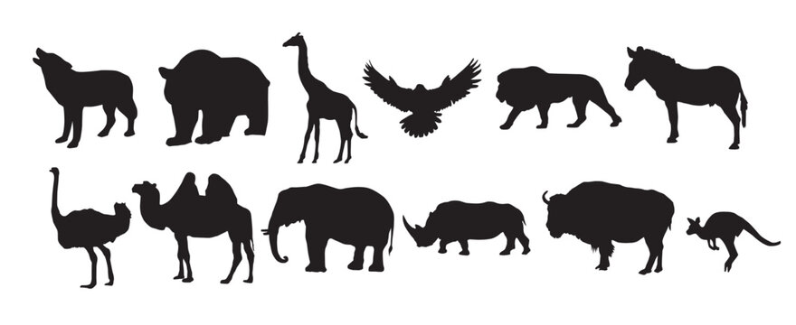 silhouettes of animals vector illustration