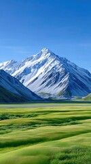 Obraz premium Vast Green Meadow With A Pristine Snow Capped Mountain Under A Clear Blue Sky
