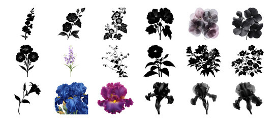 Obraz premium Variety of floral arrangements featuring vibrant irises and blooms in a grid pattern on transparent background