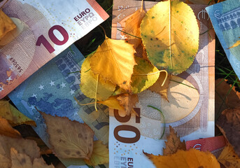 Financial situation of Europe in autumn - Euro banknotes with fallen autumn leaves