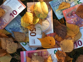 Financial situation of Europe in autumn - Euro banknotes with fallen autumn leaves