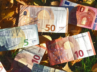 Financial situation of Europe in autumn - Euro banknotes with fallen autumn leaves