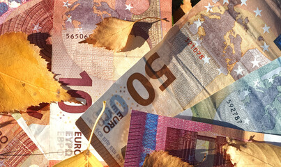 Financial situation of Europe in autumn - Euro banknotes with fallen autumn leaves