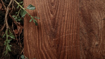 Naklejka premium A hardwood plank showcasing natural grain patterns, suitable for woodworking projects