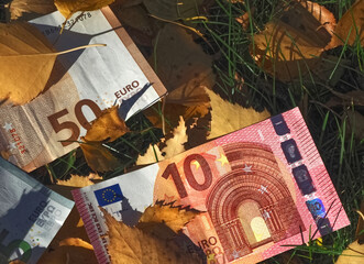 Financial situation of Europe in autumn - Euro banknotes with fallen autumn leaves
