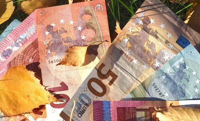 Financial situation of Europe in autumn - Euro banknotes with fallen autumn leaves
