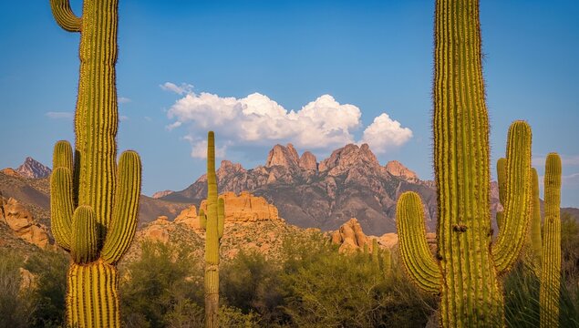 A striking mountain formation in the Mazatzal range is highlighted against the desert sky, surrounded by towering saguaro cacti. - Powered by Adobe