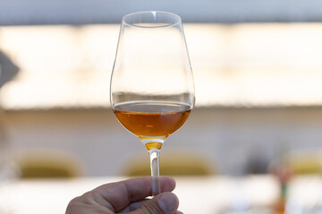 Hand holding glass of amontillado jerez sherry wine