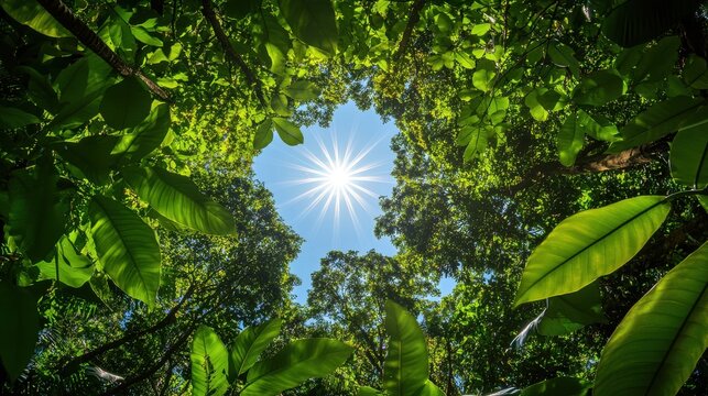 Looking up through lush green leaves of a forest canopy towards a bright, radiant sun shining through the blue sky