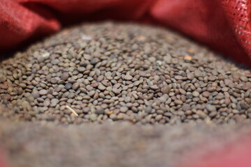 Close-Up of Brown Lentils in Red Cloth Bag – Organic Pulses and Natural Food Ingredient