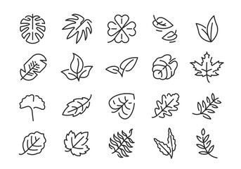Leaf icons. Set of 20 leaf trendy minimal icons. Maple, Clover, Palm, Fern, Ginkgo icon. Design signs for web page mobile app packaging design. Vector illustration