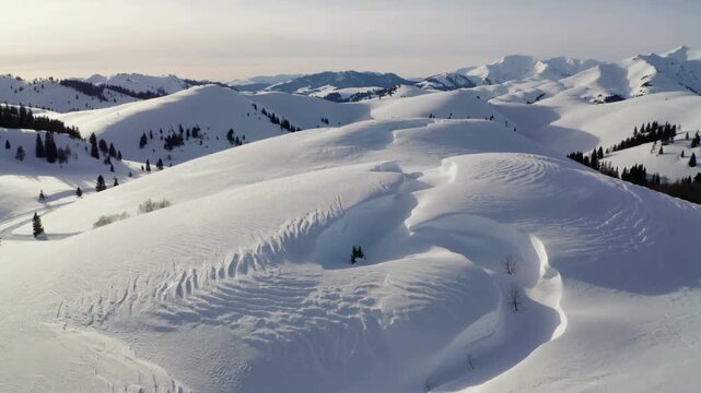 Wide snow-covered hills and trails under clear sky
