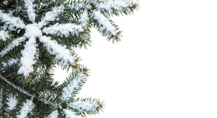 A winter frame corner of a snow-covered fir branch for holiday photo cards, greeting cards, and seasonal website design for Christmas.Transparent Background, Cutout