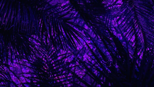 Neon tropical foliage with dark palm leaves and shadows, vibrant color theme for creative layouts - Powered by Adobe