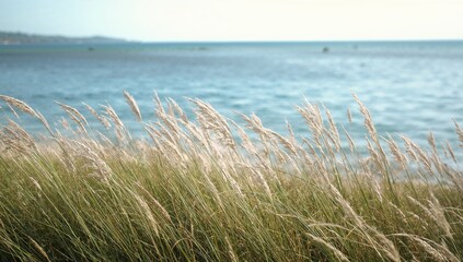 Seaside meadow with wild grass and water view, abstract nature scene with sky and summer vibes