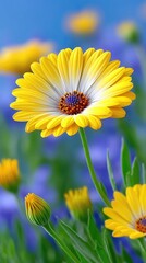 Obraz premium Vibrant Close-up of Bright Yellow Daisy Flowers with Green Stems Against a Soft Blue Sky and Blurred Purple Floral Background