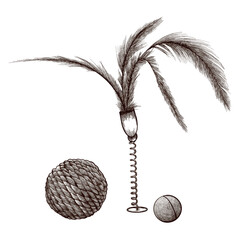 A set of cat toys consisting of feathers and various balls. Vector image drawn in graphic style.