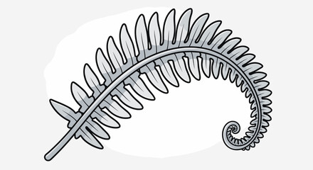 Elegant silver fern frond unfurling in a graceful spiral, a classic botanical illustration representing nature's beauty and the delicate patterns found in the plant kingdom, perfect for design