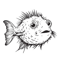vector illustration of a puffer fish