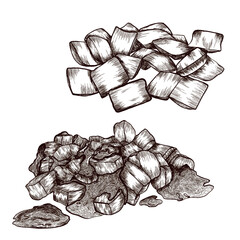 Dry and wet cat or dog food. Vector image drawn in graphic style.