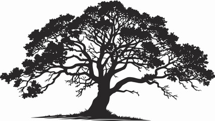 Silhouette of Majestic Oak Tree: A dramatic silhouette of a towering oak tree, its gnarled branches reaching towards the sky, set against a backdrop, evoking a sense of strength, resilience.