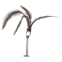 A spring-loaded cat toy with feathers. Vector image drawn in graphics.