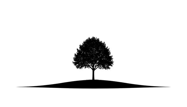 Silhouette of a lone, leafy tree centered on a simple hill. The image has high contrast. Black against a stark white background