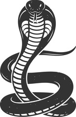 Fototapeta premium Cobra snake animal silhouette reptile black