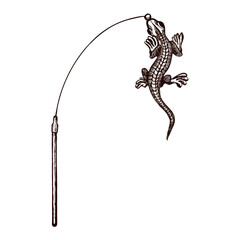Cat toy fishing rod with igguana. Vector image drawn in graphics.