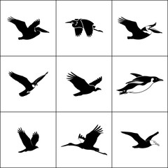 Set of 9 bird silhouettes in flight. Simple vector icons of flying birds.