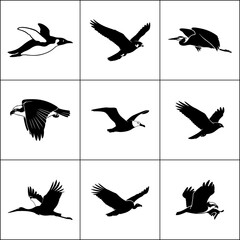 Set of 9 flying bird silhouettes. Birds in flight vector collection. Gull icons.