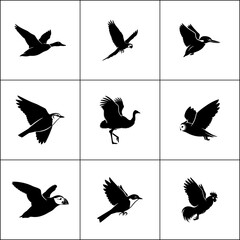 Set of 9 flying bird silhouettes. Bird flight poses icon collection.